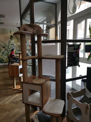  at Katzentempel - Rosenheim in Rosenheim