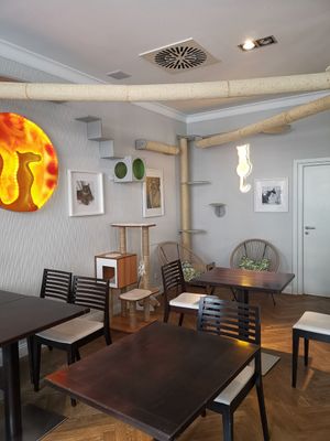  at Katzentempel - Rosenheim in Rosenheim