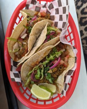  at Nopal in Gran Canaria