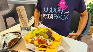  at Nopal in Gran Canaria