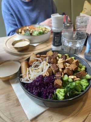 Vegan Asia Bowl with Spring Rolls  at KOFFI in Neuss