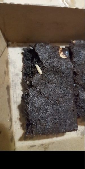  at Slick Burgers in Christchurch