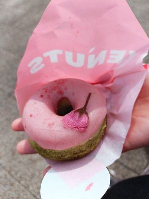 Sakura/Matcha at Whyte - VENUTS in Tokyo