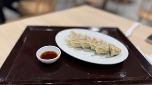 Gyoza  at NRT - T's Tantan - T1 in Narita