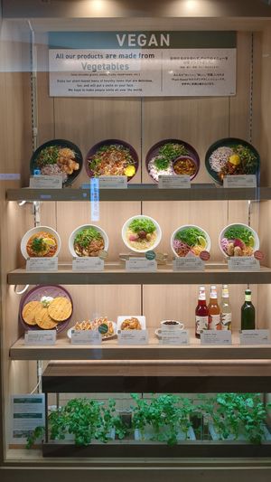 This is the outside display of the menu. The dishes we had all really looked like this, but we have already eaten them all! #Veganuary at NRT - T's Tantan - T1 in Narita
