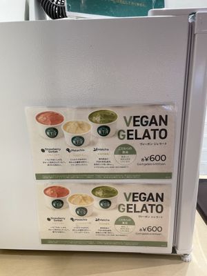 Vegan gelato!  at NRT - T's Tantan - T1 in Narita