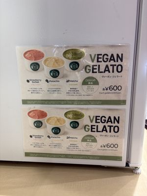 Vegan gelato! Too good to be true! Matcha,  pistachio and strawberry flavor available   at NRT - T's Tantan - T1 in Narita