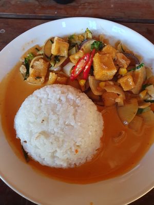 Curry with tofu + rice at Green Climbers Home in Thakhek