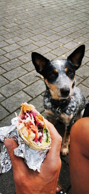 Ich will auch😊 at Big Baba in Achern