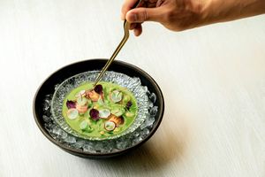 GREEN GAZPACHO
Tomato water, paprika crema, avocado, radish sprouts at Folia - Four Seasons Resort in Dubai