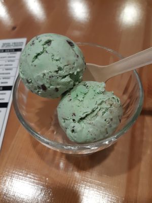 Mint chocolate chip ice cream made from cashews and sent from heaven at Great Lakes in Tokyo