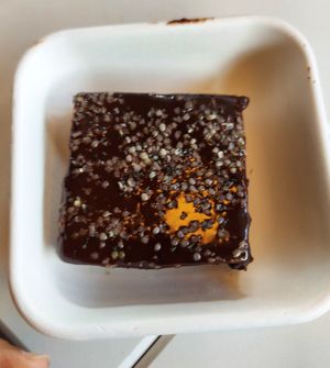 Brownie at Copper Branch in Portland