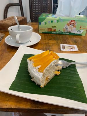 Delicious vegan mango cake  at Horizon Cafe in Koh Samui