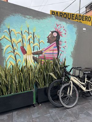   at Dalia Plant Power Mex in Bogota