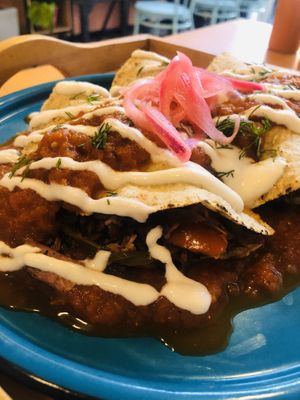 Y setas 🍄 😍 at Dalia Plant Power Mex in Bogota