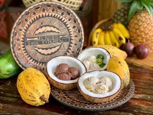 Vegan Ice Cream at ENI - Soul Kitchen in Palawan