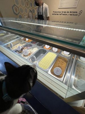   at Nieve de Olla in Mexico City