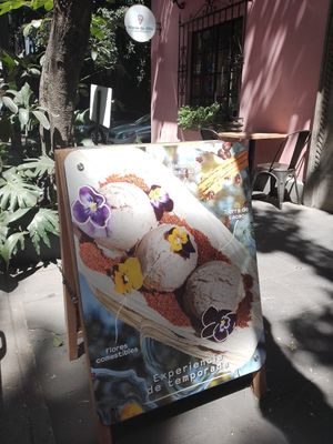 3/2024 at Nieve de Olla in Mexico City