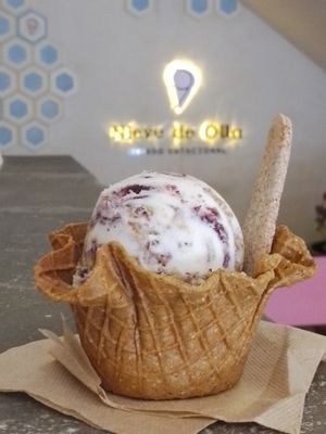 Jacarandas at Nieve de Olla in Mexico City