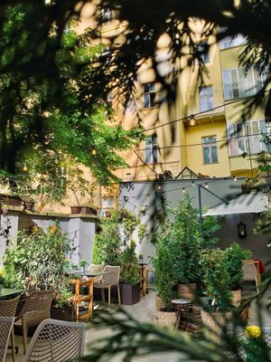 garden 🌿 at Palo Verde in Prague