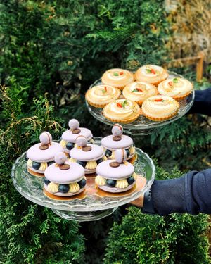 milka macaroon and tartalets at Palo Verde in Prague