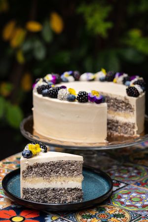 Poppy Seed Cake at Palo Verde in Prague
