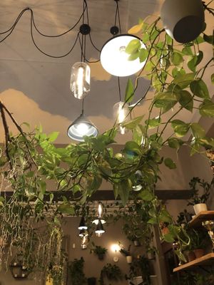 Interior   at Palo Verde in Prague