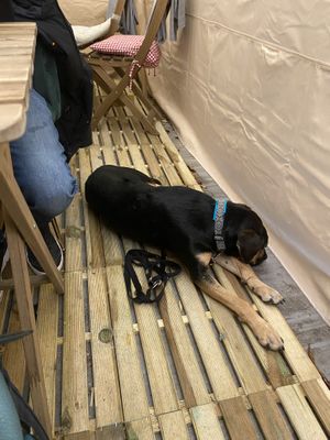   at Palo Verde in Prague