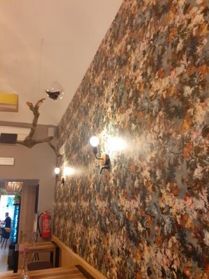  at Palo Verde in Prague