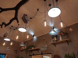  at Palo Verde in Prague