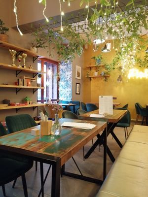 Palo Verde at Palo Verde in Prague