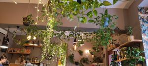  at Palo Verde in Prague