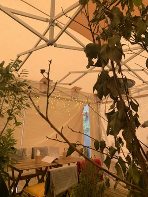 Garden  at Palo Verde in Prague