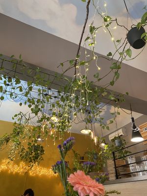   at Palo Verde in Prague