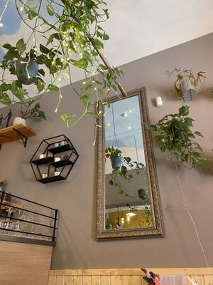   at Palo Verde in Prague