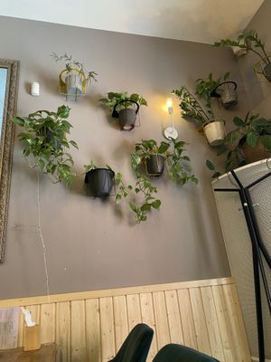   at Palo Verde in Prague