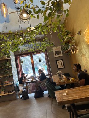   at Palo Verde in Prague