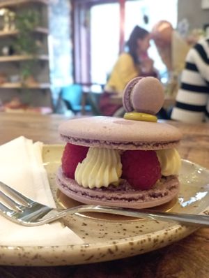  at Palo Verde in Prague