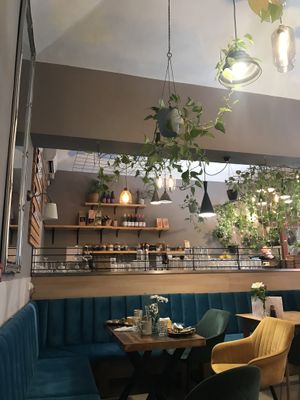   at Palo Verde in Prague