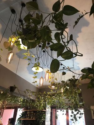   at Palo Verde in Prague