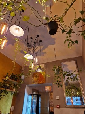  at Palo Verde in Prague