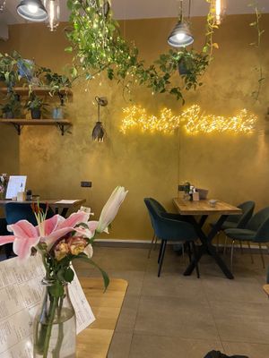   at Palo Verde in Prague