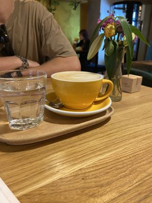   at Palo Verde in Prague