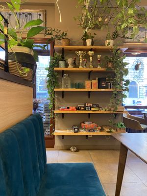   at Palo Verde in Prague