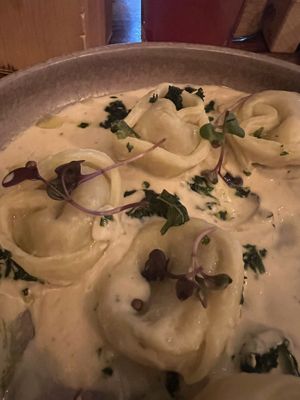 Mushroom porcellini  at Palo Verde in Prague