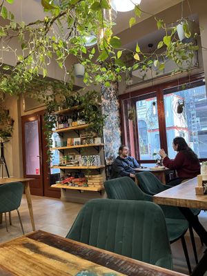   at Palo Verde in Prague