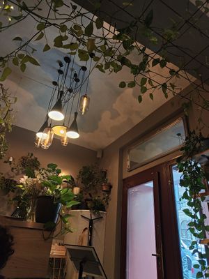 Beautiful interior at Palo Verde in Prague