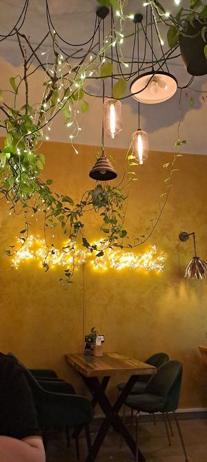 Decot at Palo Verde in Prague