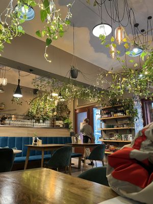   at Palo Verde in Prague