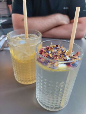  at Palo Verde in Prague